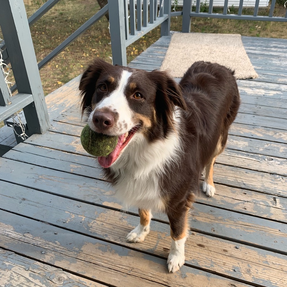 Meet your Posher, Wendy